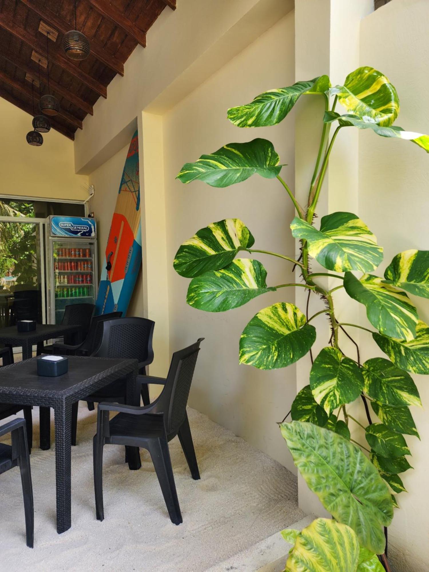 Dhigurah Dhonveli Boutique Hotel Buitenkant foto
